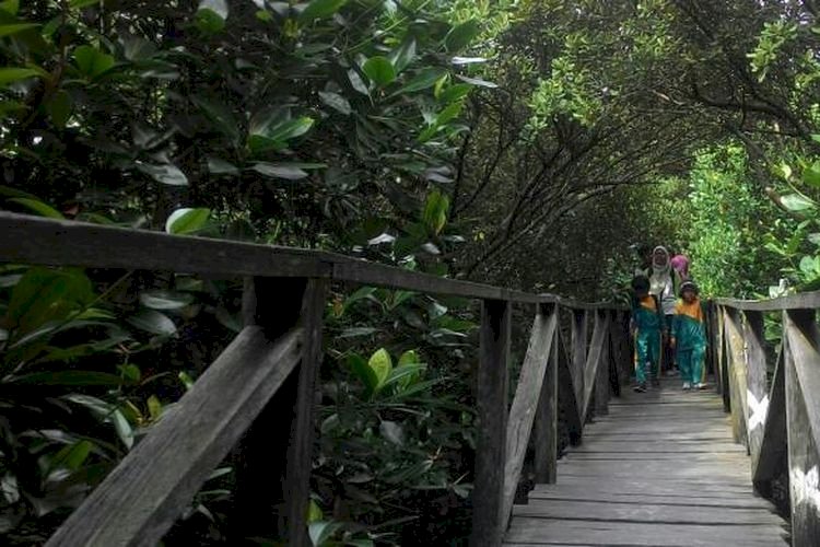 10 Ragam Wisata di Kalimantan Timur, Calon Lokasi Ibu Kota Negara